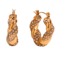Donna Crystal Twisted Earring