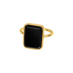 Geometric Ring